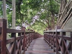 -乌山风景区