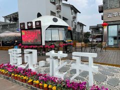 -空港花田景区