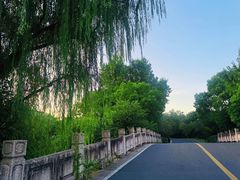 -乌村