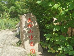 -天女山森林公园
