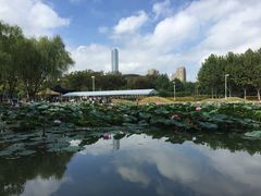 -白塘生态植物园