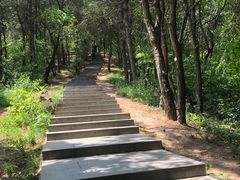 -冶父山国家森林公园