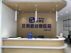 -宠颐生贝利健动物医院(谢家湾分院)