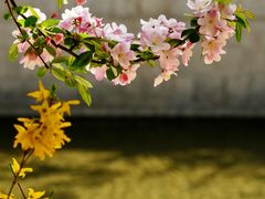 -海棠花溪(元大都城垣遗址公园)