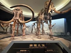 -大庆市博物馆