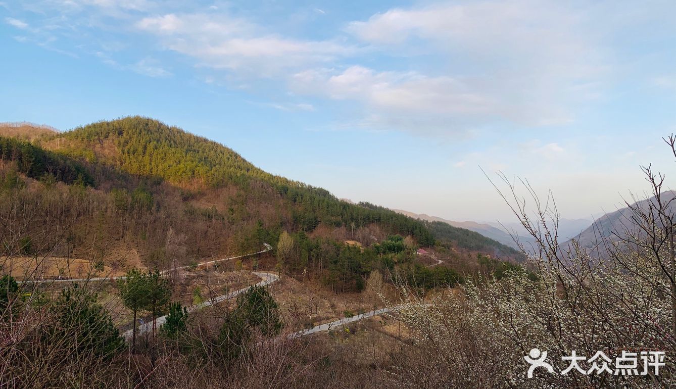 说着要烧烤，就和爸爸他们去山脚下
