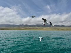 -青海湖国家重点风景名胜区