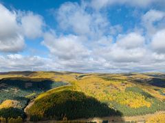 -塞罕坝国家级自然保护区