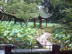-房湖公园