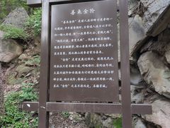 -阳台山自然风景区