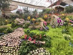 -沈阳植物园
