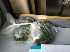 一楼清明节青团-上海健康医学院北苑食堂