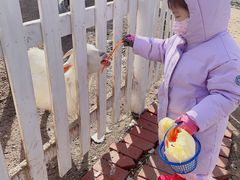 -前小桔亲子创意农场·草莓采摘·露营烧烤