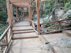 -大岭沟猕猴桃谷风景区