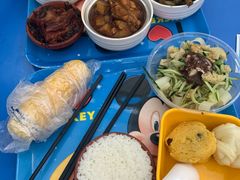 -南宫五洲植物乐园