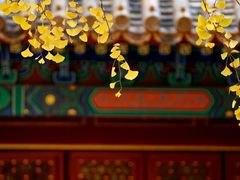 -洛阳市隋唐城遗址植物园