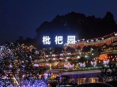 -枇杷园食为鲜火锅(南山店)