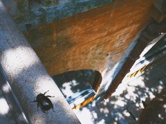 -广州市紫泥堂文化创意园景区