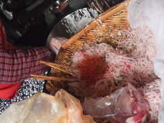 -半月镰胡姐脆皮萝卜饺子