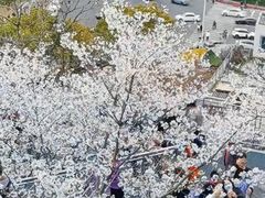 -幕燕滨江·长江观音景区