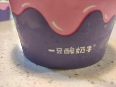 -张小姐炒酸奶
