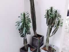 -收获咖啡HARVEST RESERVE(苍山店)