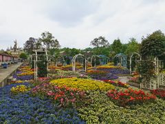 -都江堰玫瑰花溪谷
