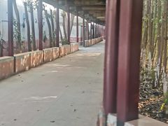 -华西村