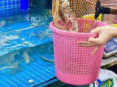 -坛南湾农家乐·海鲜楼·大排档(平潭坛南湾店)