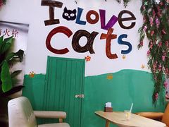 大堂-藏猫猫咖啡主题馆(中央大道店)