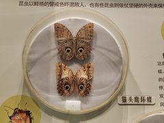 -常州博物馆