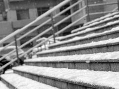 -河北中医学院(橘泉校区)