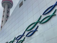 -上海海洋水族馆