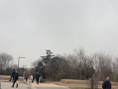 -秦始皇帝陵博物院-丽山园