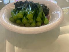 白灼菜心远-万山楼海鲜酒家·二十三年老字号