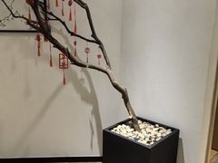 -麦子MaiMassage(打浦桥店)