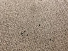 -全季酒店(广州越秀公园店)