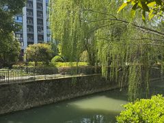 -西湖文化广场