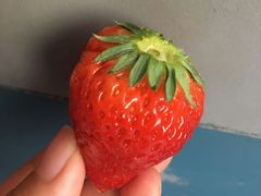 -回头客精品果业(西门店)
