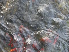 -水磨沟公园