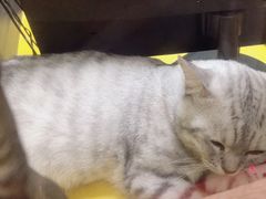 -H立方实景剧情密室(天河旗舰店)