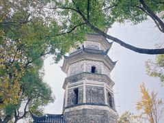 -苏州上方山国家森林公园