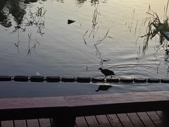 -什刹海
