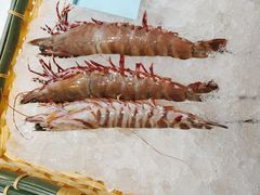 -蚝老板海鲜烧烤大排档(码头店)