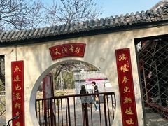 -桃花堤公园