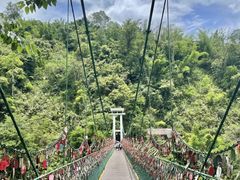 -西双版纳原始森林公园