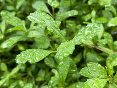 -MOJ coffee(瓯海泽雅水碓坑店)