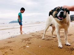 -小皓村