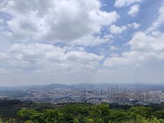 -长虫山生态公园风景林