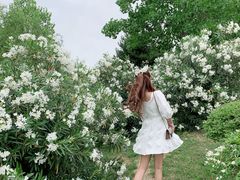 -灞河西岸滨河公园